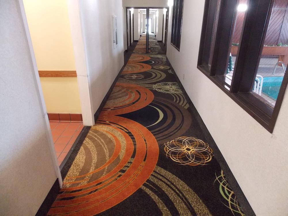 Quality Inn & Suites Champaign Exterior photo